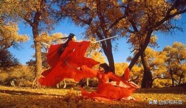 李连杰经典电影，李连杰十部巅峰电影（精选李连杰十部经典电影）