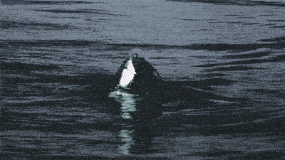 大海图片，大海图片真实照片（大海令人恐惧的一面）