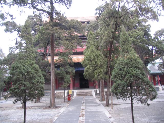 孔府的介绍，孔府的介绍作文（探访曲阜孔庙、孔府和孔林）