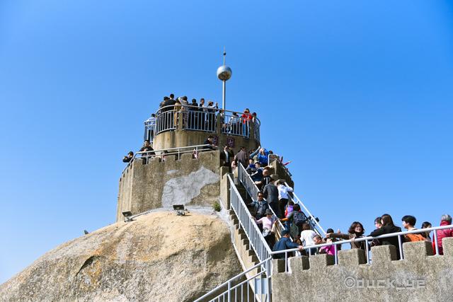 厦门鼓浪屿一日游，厦门鼓浪屿1天游攻略（当地人带你一天玩转鼓浪屿）