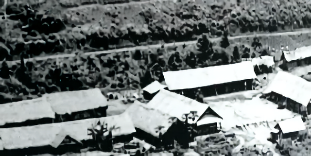 知青周萍的结局，周萍最后的结局是自杀（指导员被纳为重点嫌疑对象）