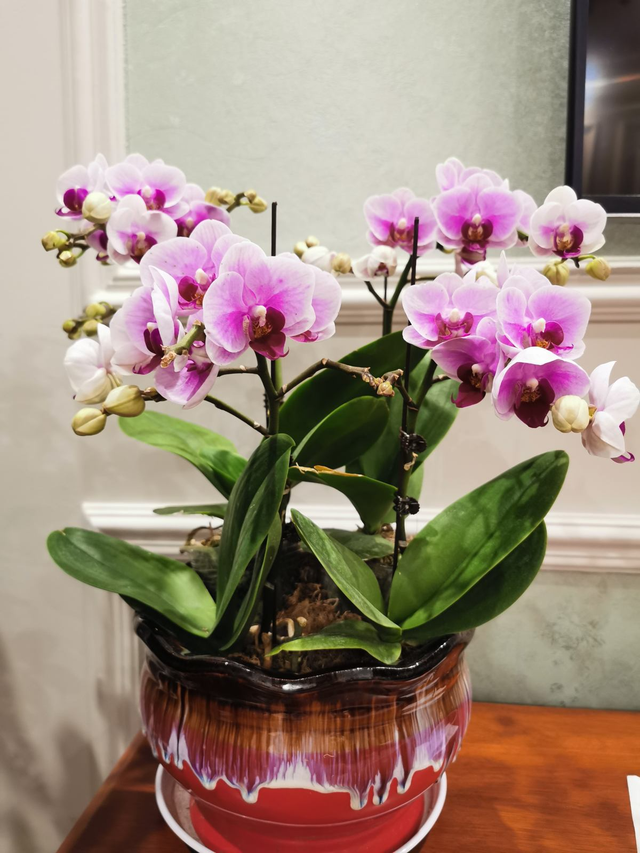 家用智能垃圾桶，垃圾桶边多了不少花（智能垃圾桶怎么用）