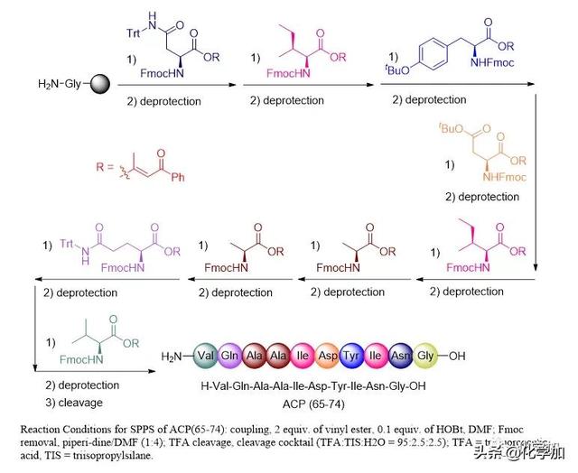 肽键和酰胺键的区别，肽键和酰胺键的区别（肽键的计算公式）
