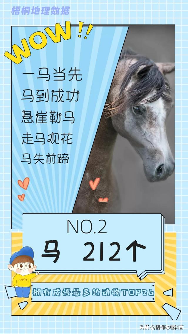 关于猫的词语有多少个，关于猫的词语有多少个词语（盘点哪种动物拥有的成语最多）