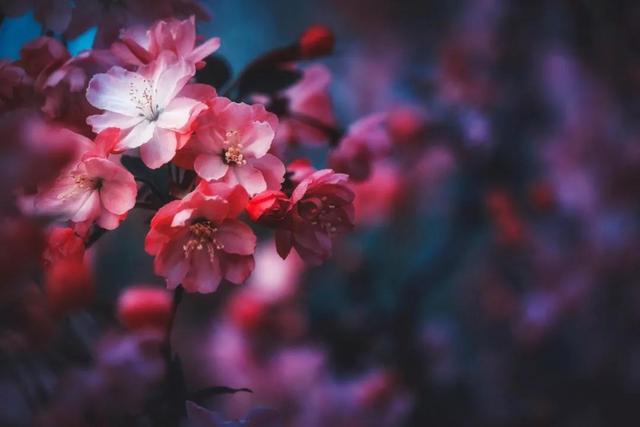 关于日的诗句，关于日的诗句和诗人的情感（最美6首暖春古诗词：风乍暖）