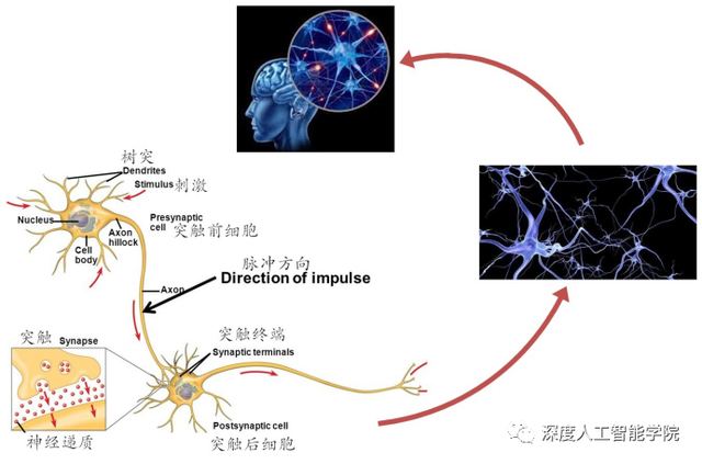 kpu是什么意思，符号@是什么意思（CPU、GPU、DPU、TPU、NPU...傻傻分不清楚）