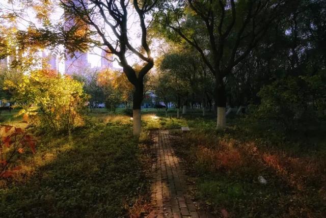 辽东学院宿舍条件怎么样，辽东学院宿舍几人间（辽宁省普通高等院校）