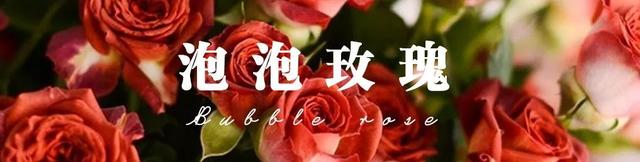 各种玫瑰花的含义，各色的玫瑰花有什么含意（一篇文章认全花店必备80种玫瑰花）