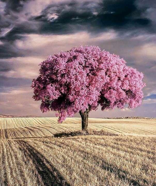 母亲节贺卡内容，生日贺卡制作简单漂亮（母亲节贺卡祝福语）