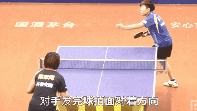 乒乓球旋球怎么接，打乒乓球怎样接好旋球（小白不仅能轻松接回侧旋球）