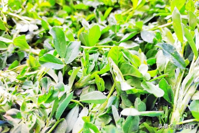 春季时令菜制作方法，时令菜怎么做（别忘吃“开春5鲜菜”）