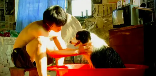 梦见尿血了什么预兆，梦见尿血什么意思（11年前的导演累到尿血）