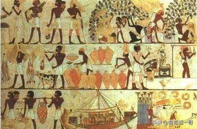 法国红酒什么味道，法国红酒什么味道最好喝（这是一篇超级齐全的法国葡萄酒介绍）