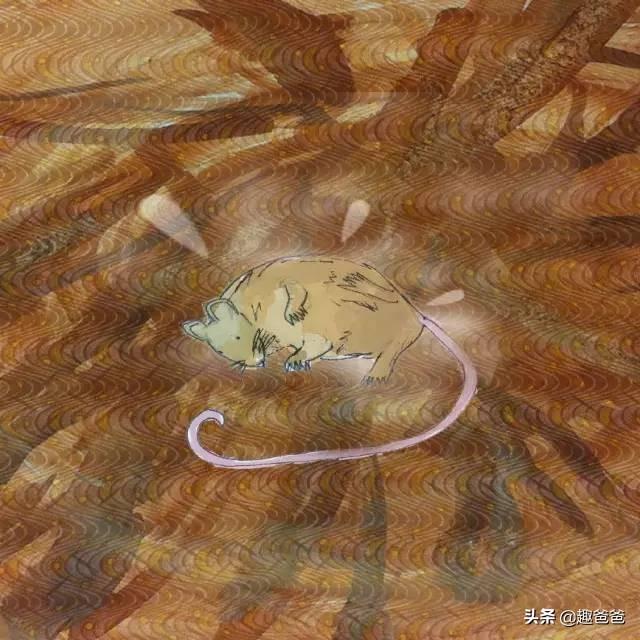 小动物找房子的故事内容，小动物找房子的故事内容简介（儿童小故事：小老鼠找新家）