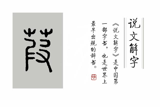琯什么意思解释，琯字笔画笔顺（如何准确理解“蒹葭苍苍”）