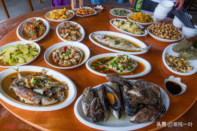 佛手螺是哪儿的特产，佛手螺最多的产地是哪里（浙江宁波渔山岛有个小渔村）