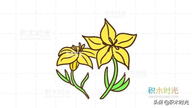 百合花的简笔画，如何画漂亮的简笔百合花（百合花简笔画教程）