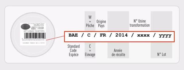 鱼子酱好吃吗，鱼子酱是什么东西（除了贵，你对鱼子酱一无所知）