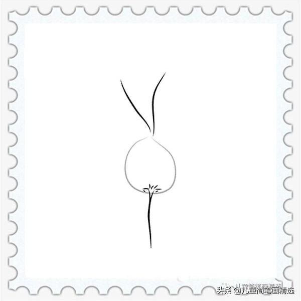 萝卜的简笔画大全大图，儿童简笔画精选-水萝卜的绘画步骤