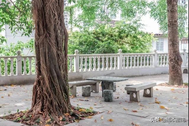 广外艺五山校区，广外艺普通话考试时间（广东第二师范学院）