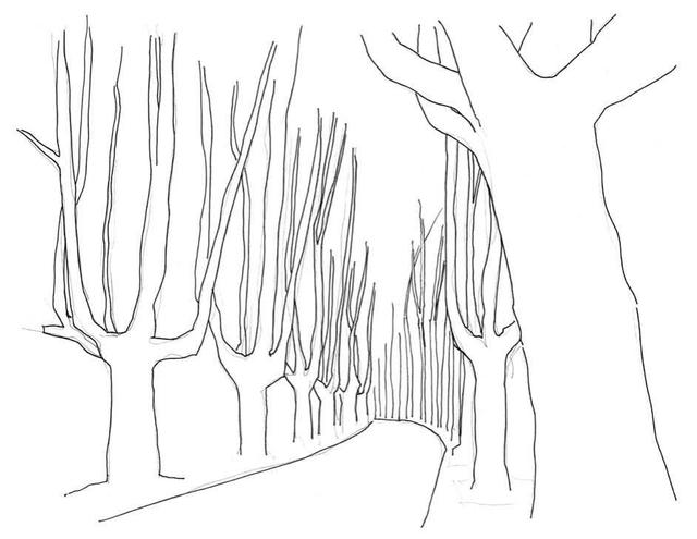 小树简笔画怎么画，小树的简笔画怎么画（教你三种常见树木画法）