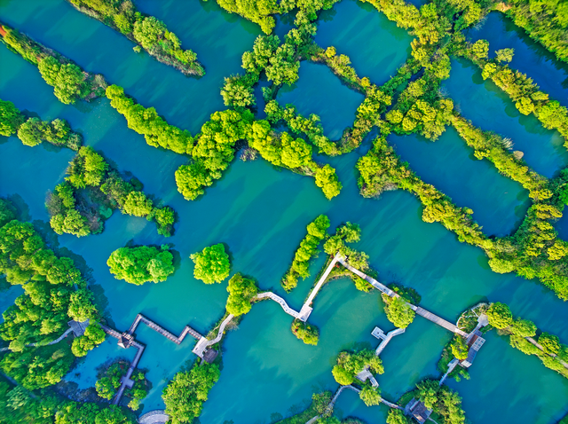 西沙湿地公园在哪，西沙湿地公园在哪个位置（崇明西沙、苏州太湖......长三角71个国家级湿地公园了解一下）