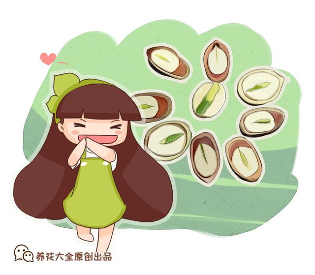 茶花（茶花树），能一直开到明年春天（茶花茶花树）