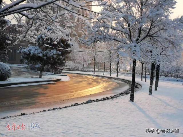 白雪却嫌春色晚，白雪却嫌春色晚下一句是什么（白雪却嫌春色晚,下一句是什么）