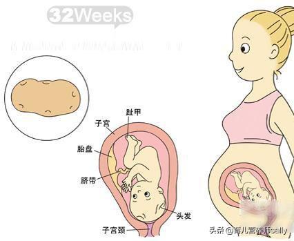 7个月早产儿能活得下来吗，七个月早产儿的成活率高吗（早产七活八不活）