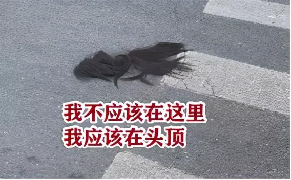淘宝评价回复(卖家回复好评评语有趣)