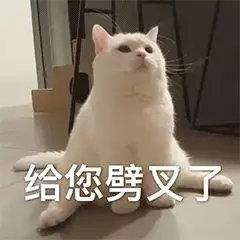 自考研究生需要什么条件与要求，自考研究生报考条件与要求有哪些（不同学历又有什么不同的要求）