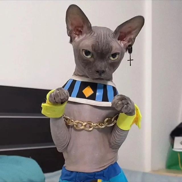 男头。忘掉种过的花，微信头像，男头。忘掉种过的花，重新开始。（“其实我不太懂喜欢）