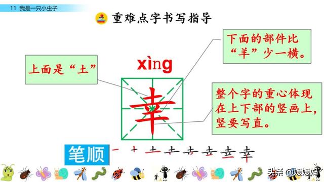 什么的食物填词语，什么的食物填词语四个字（二年级下册语文课文11《我是一只小虫子》图文详解及同步练习）