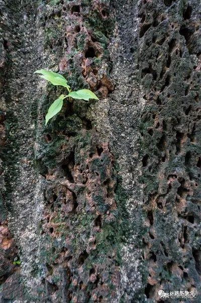 电视剧樱桃李岩扮演者是谁,电视剧樱桃李岩扮演者是谁演的(我是怎样用逆向思维从事写作的) 电视剧樱桃李岩扮演者是谁,电视剧樱桃李岩扮演者是谁演的(我是怎样用逆向思维从事写作的)