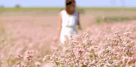 老公的含义什么意思，老公的含义意味着什么（“老公” 这个称呼的离奇来历）