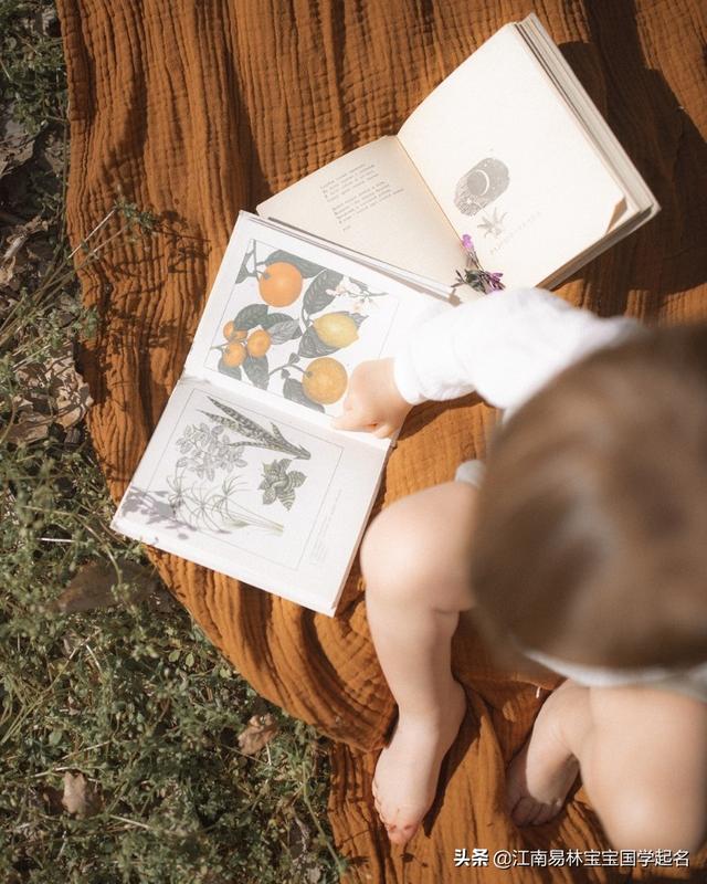 伊什么意思解释，伊字笔画笔顺（于诗意中渲染诗情画意）