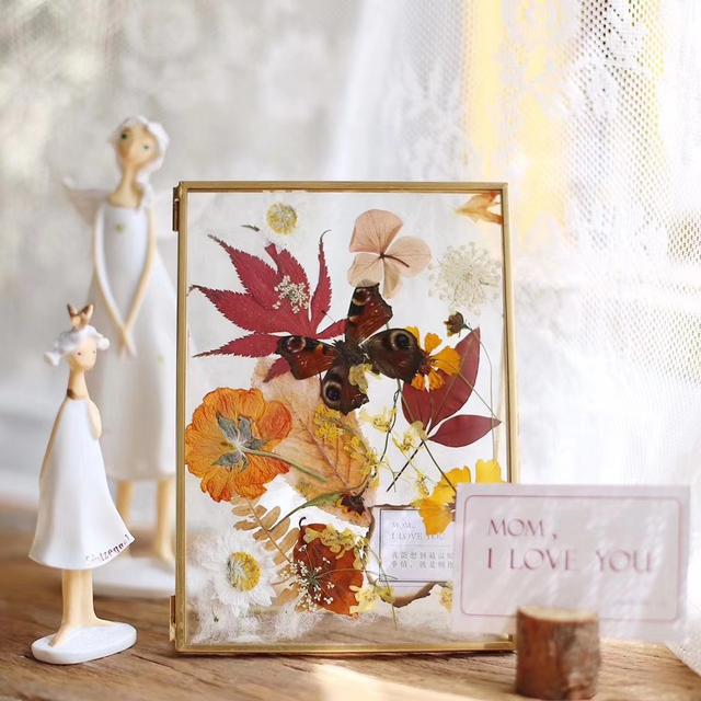 香皂花是什么材质做的，肥皂花是什么材料的（最适合懒人养的花）