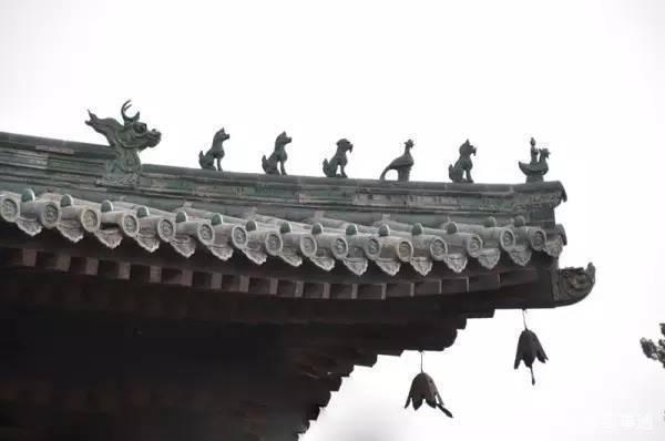 貔貅是什么动物，貔貅是什么动物图片（为什么中国人这么喜欢它）