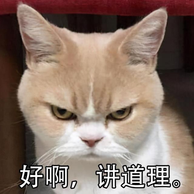 四个月念什么字，四个月念什么字怎么读（震惊，四月居然是那样的月）