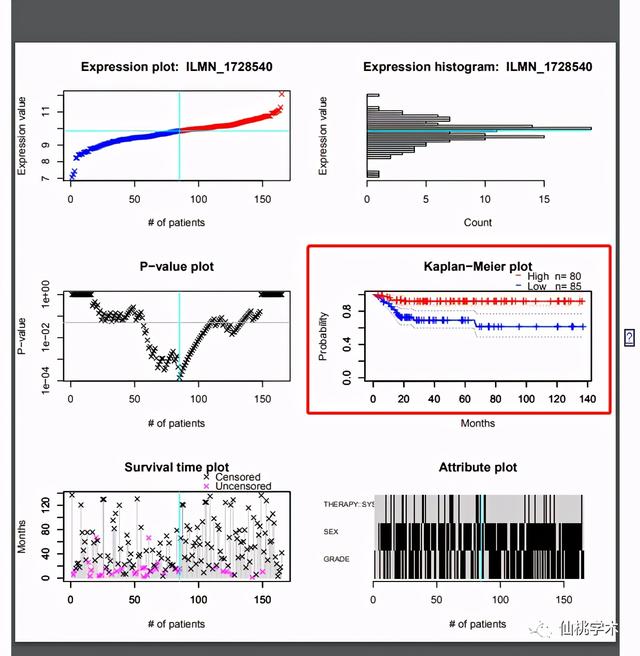 excel左右拉条不见了，excel的左右滚动条不见了（单基因泛癌免疫分析）