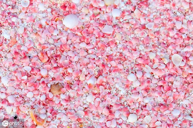 中国粉色沙滩在哪，中国粉色沙滩在哪个省份（Sands><巴哈马群岛>）