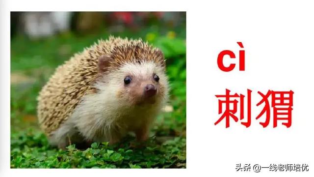 音序是什么?音节又是什么，音序是什么（小学汉语拼音——整体认读音节）