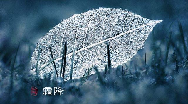 关于霜降的古诗词有哪些，关于霜降的古诗词有哪些三年级（关于的经典诗词送给您）