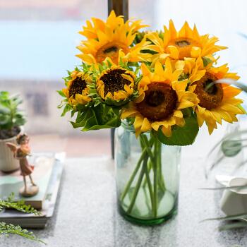 铃兰花的花语，从此买花送人不出错（铃兰花的花语与寓意）