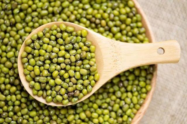 杂粮有哪些品种，粗粮都有什么（中国豆类大全）