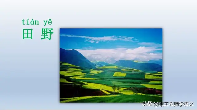 太多的拼音，太多的拼音怎么写的（部编语文一年级下册4、四个太阳+朗读+知识点+图文解读）