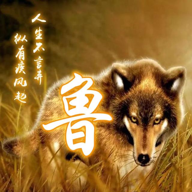 狼图片头像 凶猛 霸气 冷酷，100张姓氏霸气狼头像（100张“血性狼”姓氏头像、送给在困境中坚持梦想的你）