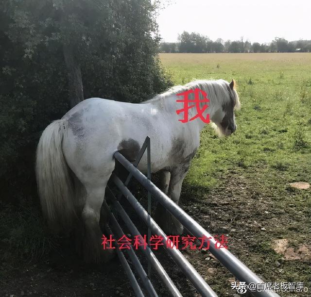 直呼内行什么梗，直呼内行什么意思（奇葩中文名翻车现场）