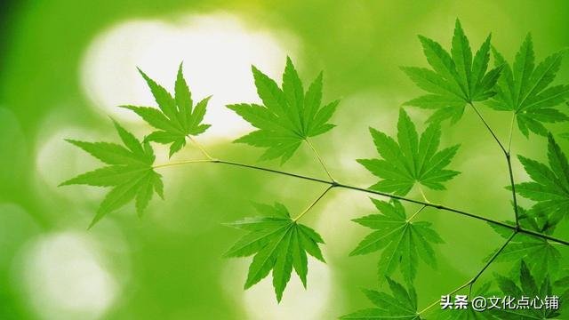 留恋不舍的句子，对一个地方留恋不舍的句子（十首深情唯美相思词）