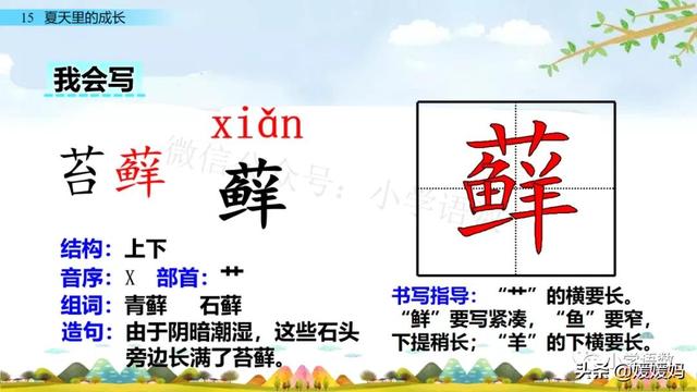 谚语的拼音是什么，谚语的拼音怎么读（部编版六年级上册第15课《夏天里的成长》课件及同步练习）